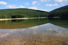 Parco Nazionale del Durmitor - Lago Nero - Zabljak403DSC_3209